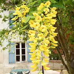 Bed & Breakfast Parenthese En Champagne - D'hotes Jaucourt