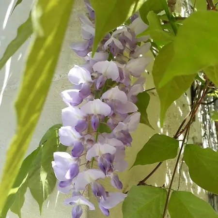 Bed & Breakfast Parenthèse En Champagne - D'hôtes *