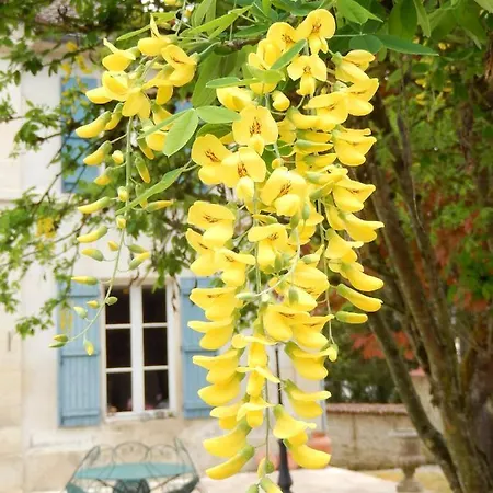 Bed & Breakfast Parenthèse En Champagne - D'hôtes Jaucourt