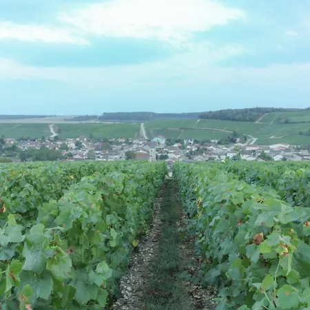 Parenthese En Champagne - D'hotes