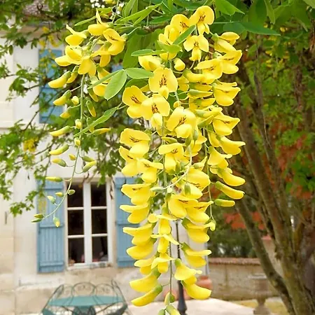 Parenthese En Champagne - D'hotes Bed and Breakfast *