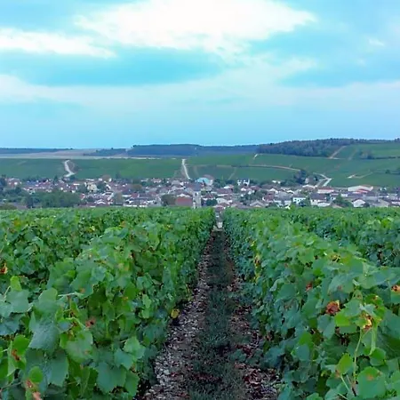فندق مبيت وإفطار Parenthese En Champagne - D'hotes Jaucourt